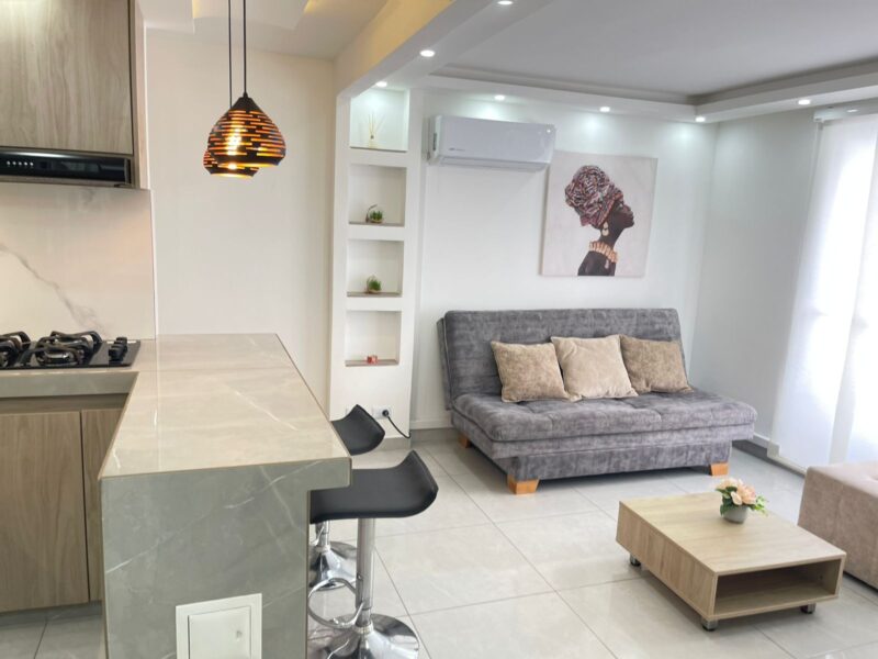 Elegante apto con Aire en la sala y piscina. T18